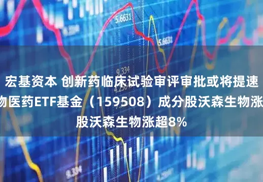 宏基资本 创新药临床试验审评审批或将提速，生物医药ETF基金（159508）成分股沃森生物涨超8%