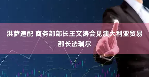 洪萨速配 商务部部长王文涛会见澳大利亚贸易部长法瑞尔